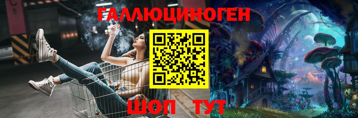 Кисловодск  купить   Вход с VPN  Псилоцибиновые грибы Psilocybe 
